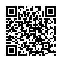 [BehelitSubs] Code Geass Akito the Exiled - 04 [BD-1080p].mkv的二维码